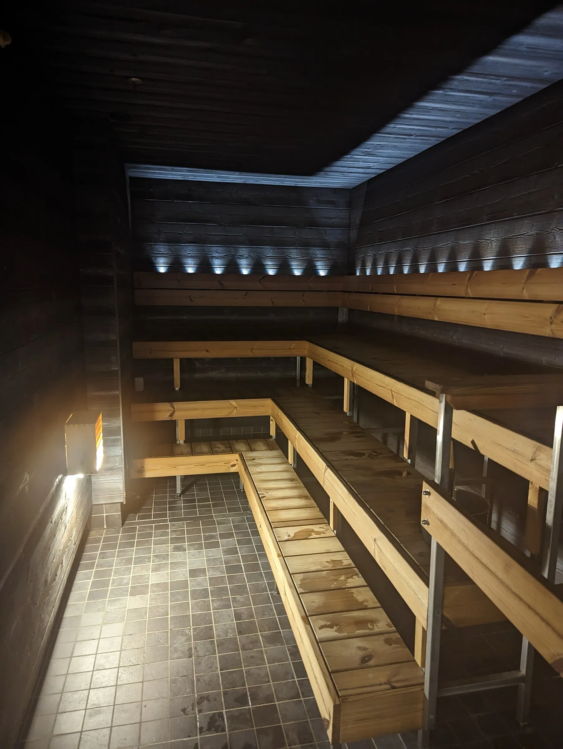 Sauna comercial amplia con bancos escalonados e iluminación indirecta